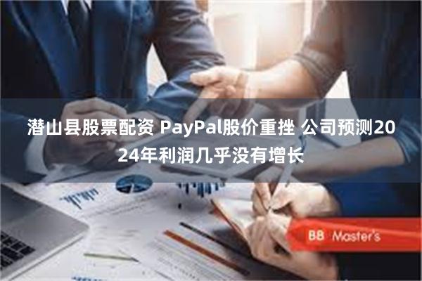 潜山县股票配资 PayPal股价重挫 公司预测2024年利润几乎没有增长