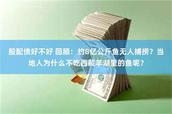 股配债好不好 回顾：约8亿公斤鱼无人捕捞？当地人为什么不吃西藏羊湖里的鱼呢？