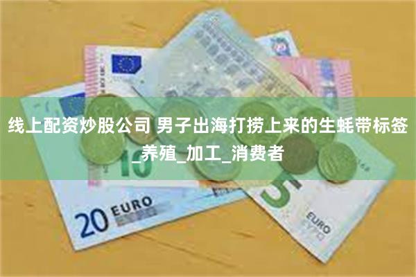 线上配资炒股公司 男子出海打捞上来的生蚝带标签_养殖_加工_消费者