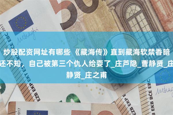 炒股配资网址有哪些 《藏海传》直到藏海软禁香暗荼，还不知，自己被第三个仇人给耍了_庄芦隐_曹静贤_庄之甫