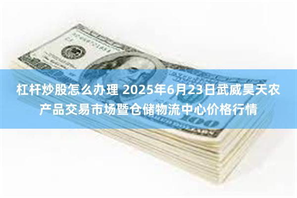 杠杆炒股怎么办理 2025年6月23日武威昊天农产品交易市场暨仓储物流中心价格行情
