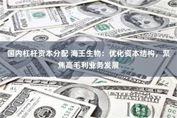 国内杠杆资本分配 海王生物：优化资本结构，聚焦高毛利业务发展