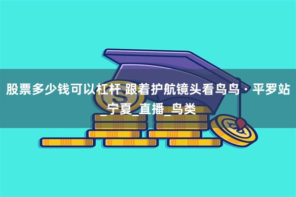 股票多少钱可以杠杆 跟着护航镜头看鸟鸟 · 平罗站_宁夏_直播_鸟类