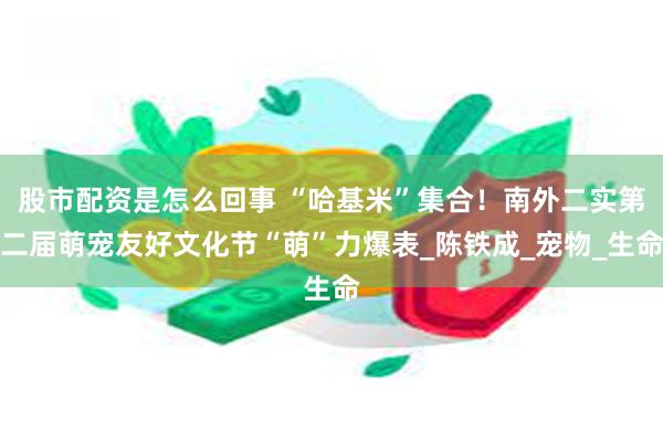 股市配资是怎么回事 “哈基米”集合！南外二实第二届萌宠友好文化节“萌”力爆表_陈铁成_宠物_生命