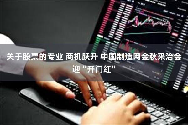 关于股票的专业 商机跃升 中国制造网金秋采洽会迎“开门红”
