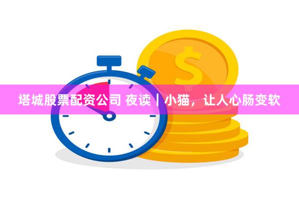 塔城股票配资公司 夜读｜小猫，让人心肠变软